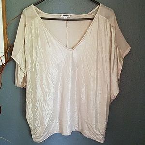 V-Neck Metallic shimmery top